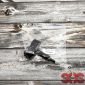 Кассета для аэрозольного устройства Пионер от А+А Кассета для аэрозольного устройства Пионер от А+А